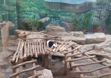 Etude des retombées économiques du Zoo de Beauval