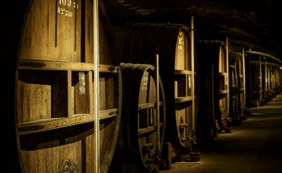 Requalification et développement du site des Caves de Chartreuse