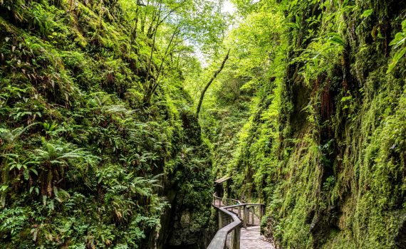 Préparation au Schéma touristique du Tourisme de la C.A. Pays Basque