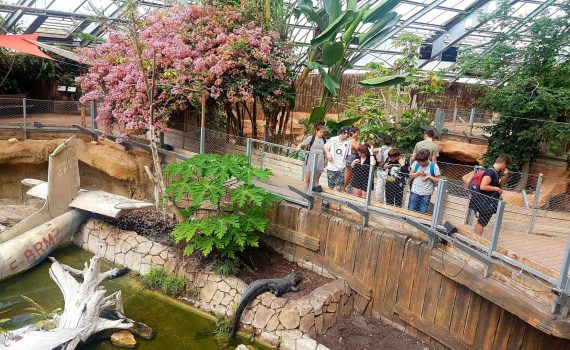 Etude d’impact des sites touristiques de la Vienne