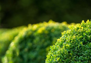 Outils Boosters de performances