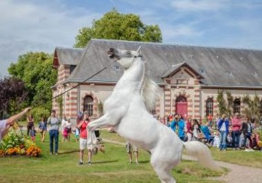 Etude de faisabilité pour un équipement touristique sur le Haras de Saint-Lô