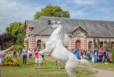 Etude de faisabilité pour un équipement touristique sur le Haras de Saint-Lô