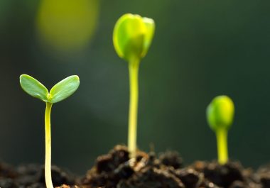 Etude de faisabilité