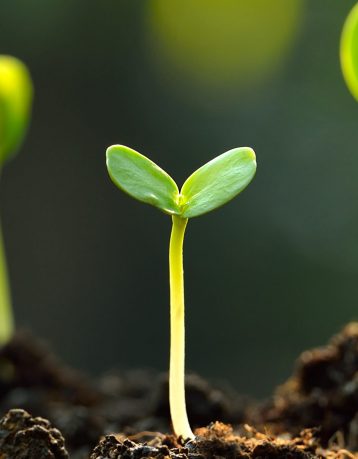 Accompagnement opérationnel