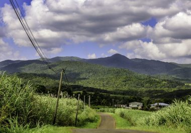 Révision du Schéma Régional de Développement du Tourisme et des Loisirs de la Guyane