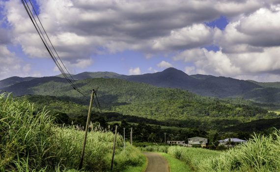 Révision du Schéma Régional de Développement du Tourisme et des Loisirs de la Guyane