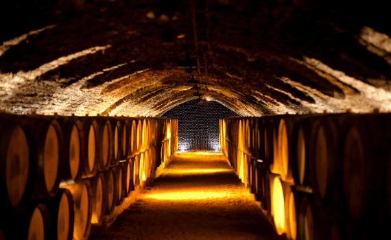 Etude sur l’identité de l’offre oenotouristique de Bourgogne