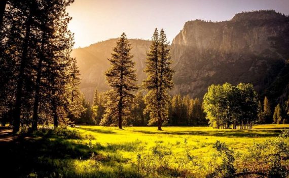 Master Plan de développement et de Transition des loisirs et du tourisme pays du Haut Doubs