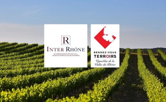 InterRhône – Audit de la qualité d&rsquo;accueil