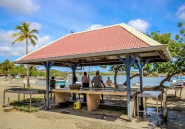 Etude de marché et de faisabilité d’un projet de création d’un resort écotouristique en Martinique