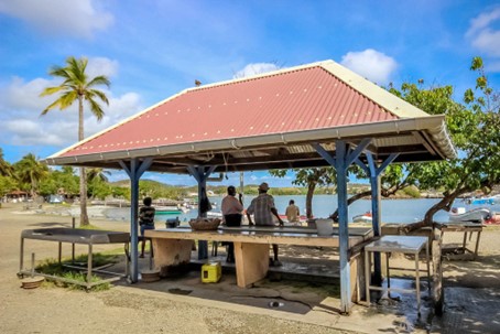 Etude de marché et de faisabilité d’un projet de création d’un resort écotouristique en Martinique