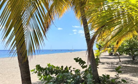 Mission d’étude sur l’écotourisme durable de Martinique