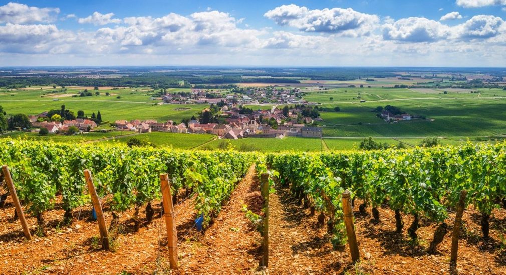 L’ŒNOTOURISME A L’HORIZON 2050 : RE-LIER LES TERRITOIRES, LES SAVOIR-FAIRE ET LES HOMMES