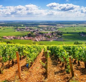 L’ŒNOTOURISME A L’HORIZON 2050 : RE-LIER LES TERRITOIRES, LES SAVOIR-FAIRE ET LES HOMMES