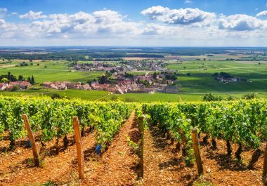 L’ŒNOTOURISME A L’HORIZON 2050 : RE-LIER LES TERRITOIRES, LES SAVOIR-FAIRE ET LES HOMMES