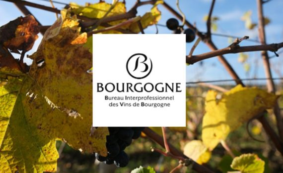 Observatoire Vignobles et Découvertes – Analyse de l’offre œnotouristique en Bourgogne