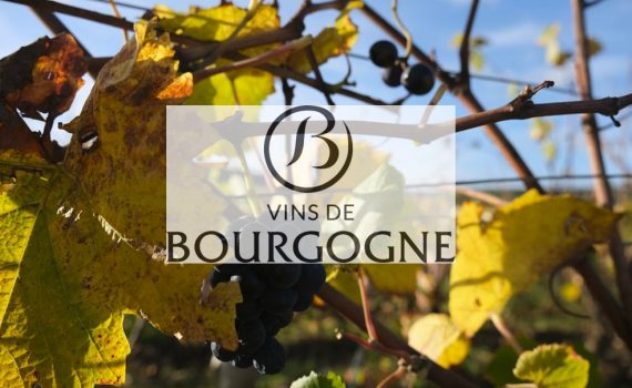 Observatoire Vignobles et Découvertes – Analyse de l’offre œnotouristique en Bourgogne