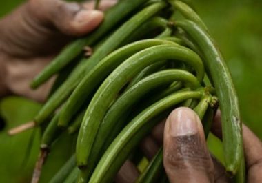 Etude de faisabilité d&rsquo;un lieu de visite