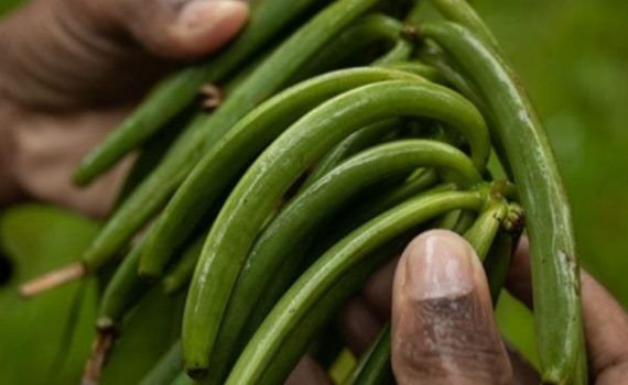 Etude de faisabilité d&rsquo;un lieu de visite