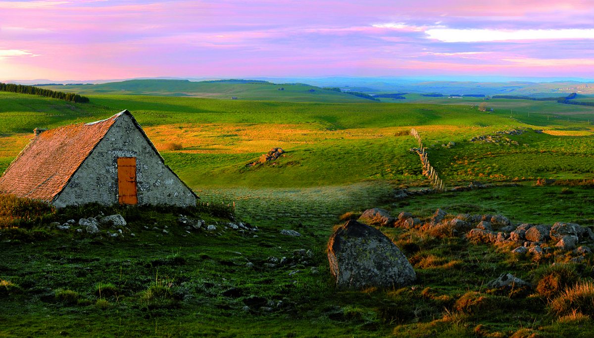 aubrac laguiole